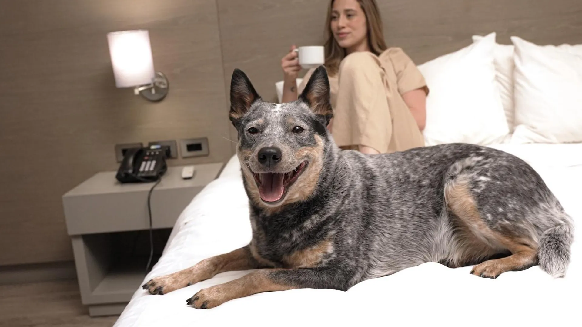 Holiday Inn Express Bogota - Parque La 93 By Ihg Ξενοδοχείο